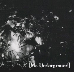Mr.Underground