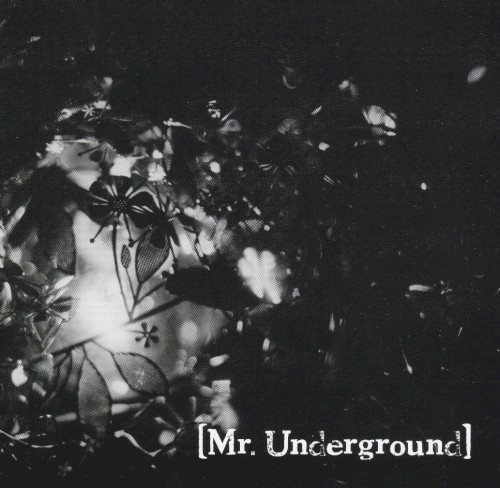 Mr.Underground