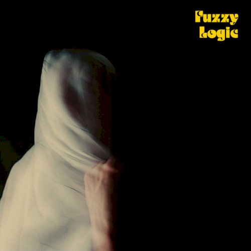Fuzzy Logic