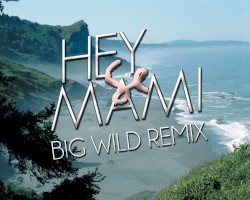 Hey Mami (Big Wild remix)