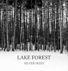 Silver Skies