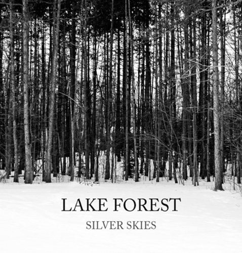 Silver Skies