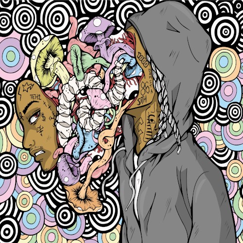 Mushrooms & Coloring Books