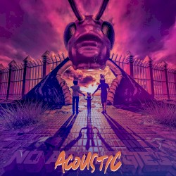 No Apologies (acoustic)