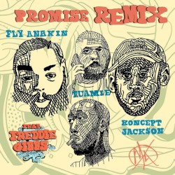 Promise (remix)
