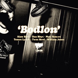 Bodlon