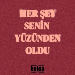 Her Şey Senin Yüzünden Oldu