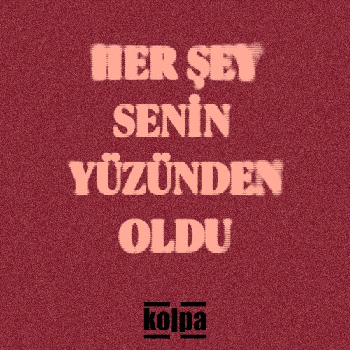 Her Şey Senin Yüzünden Oldu
