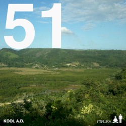 51