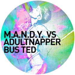 Bus Ted