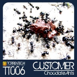 Chocolate Ants