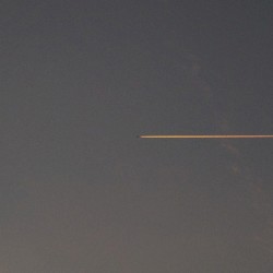 Time Flies