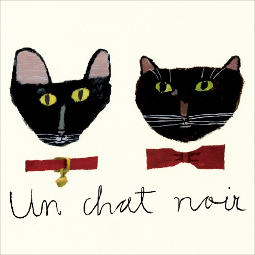Un chat noir