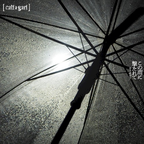 この雨に撃たれて