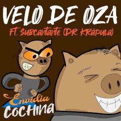 Envidia cochina