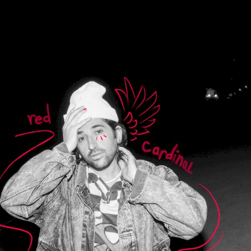 Red Cardinal