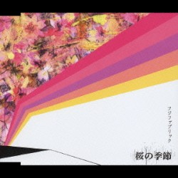 桜の季節 / 桜並木、二つの傘