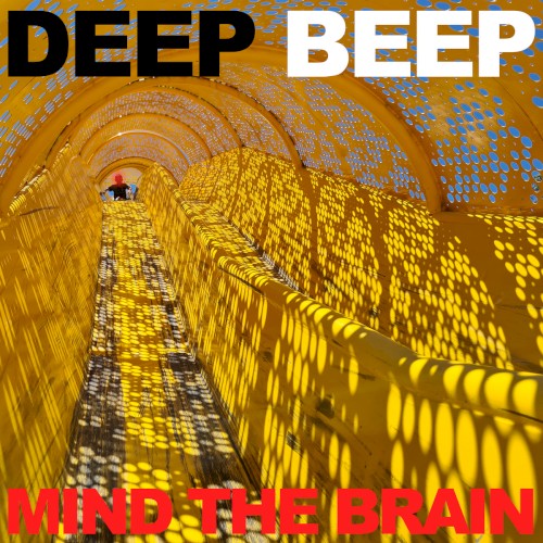 Mind the Brain
