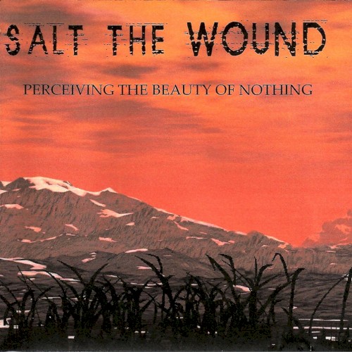 Perceiving The Beauty Of Nothing