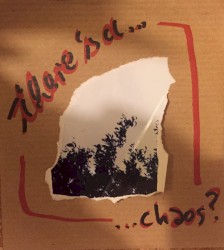 There'sa... ...chaos?