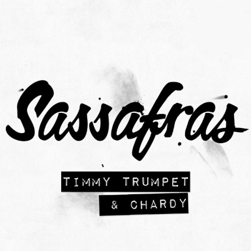 Sassafras