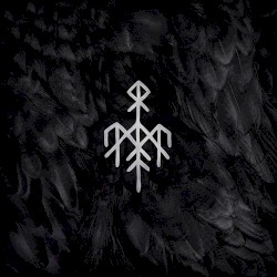 Kvitravn