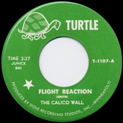 Flight Reaction / Beep