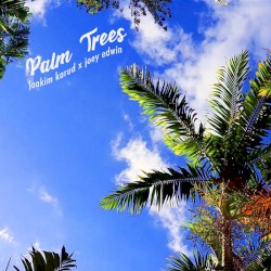 Palm Trees