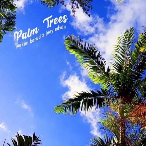 Palm Trees