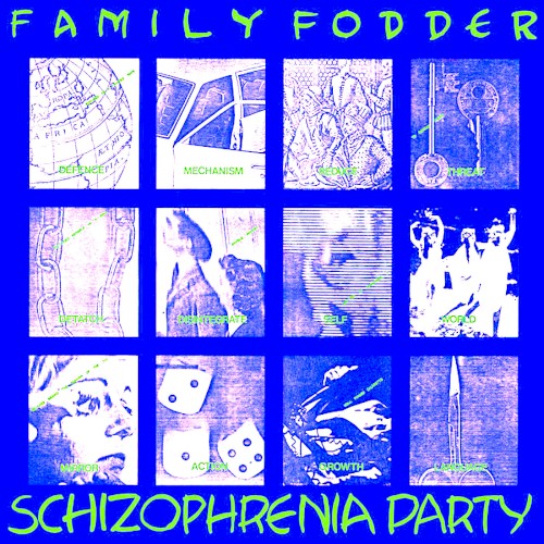 Schizophrenia Party
