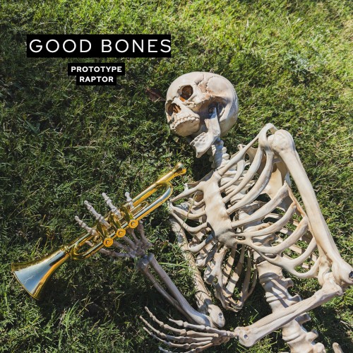 Good Bones