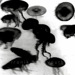 Splinter of the Minds Eye (remixes)