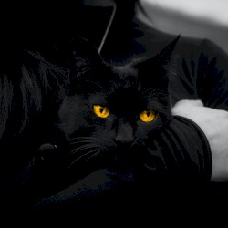 Casper