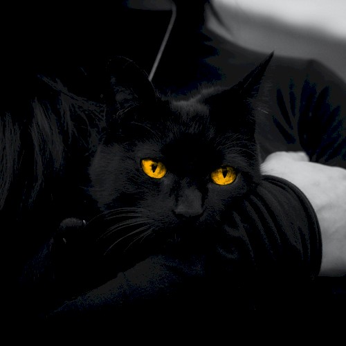Casper