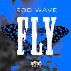 Fly