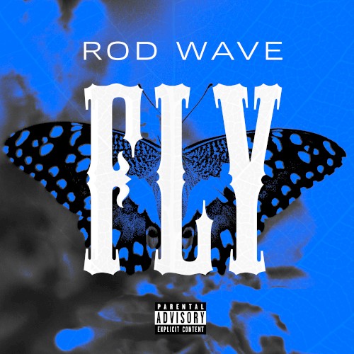 Fly