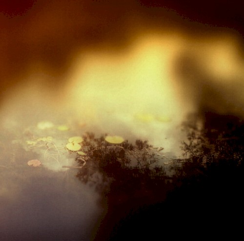 The Sheltering Sky