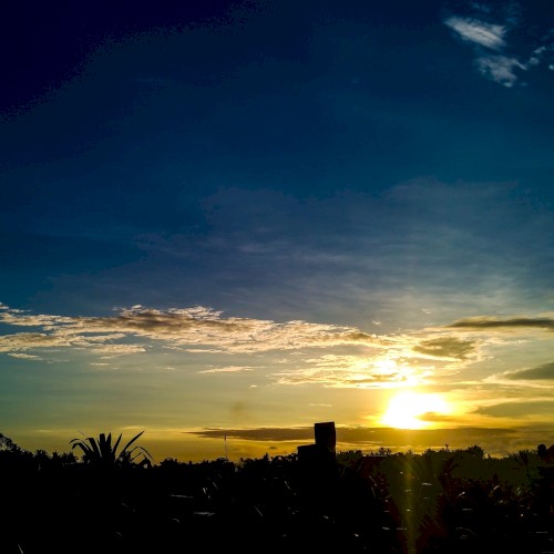 Morning