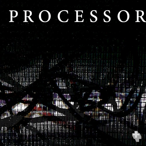 Processor