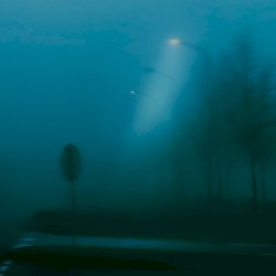 mid‐morning fog
