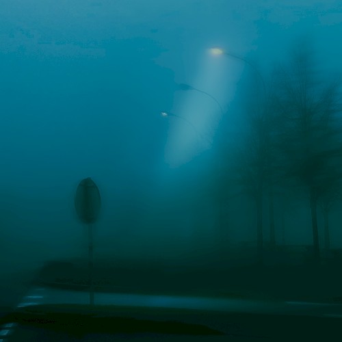 mid‐morning fog