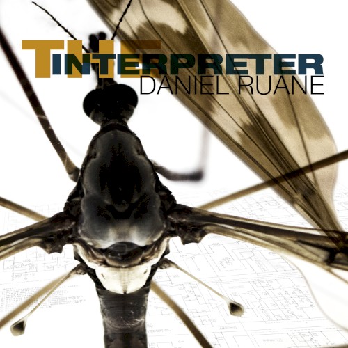The Interpreter