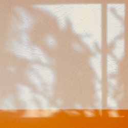 Refraction i–ii (Morning)