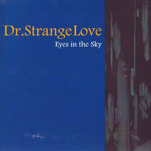 Eyes in the Sky