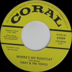 Where’s My Pussycat