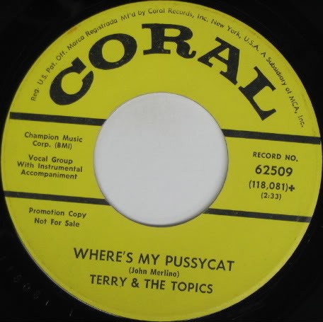 Where’s My Pussycat