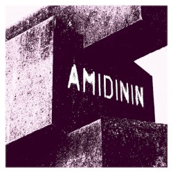 Amidinin