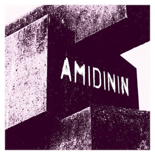 Amidinin