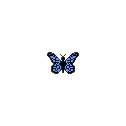 butterflies