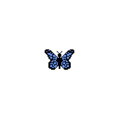 butterflies